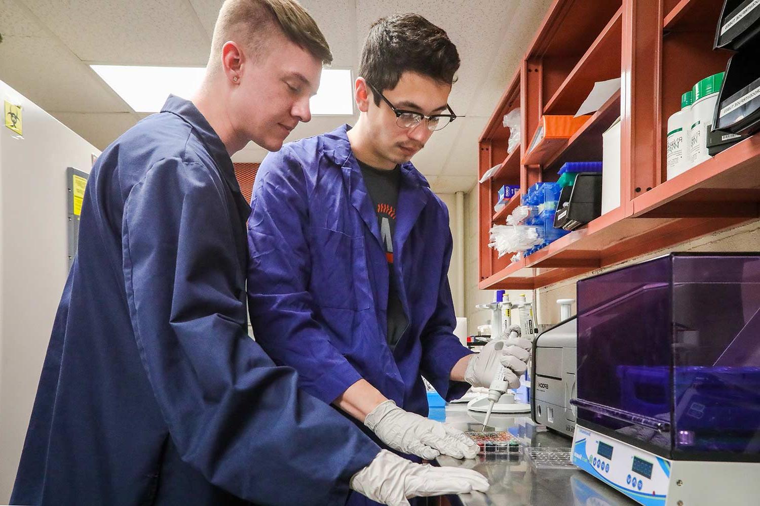 Microbiology Students Working In Lab