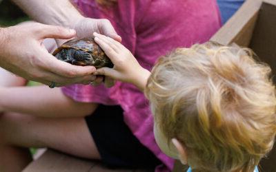 Assistant Professor Joseph Iacovazzi offers interactive wildlife biology presentation at Lackawanna State Park